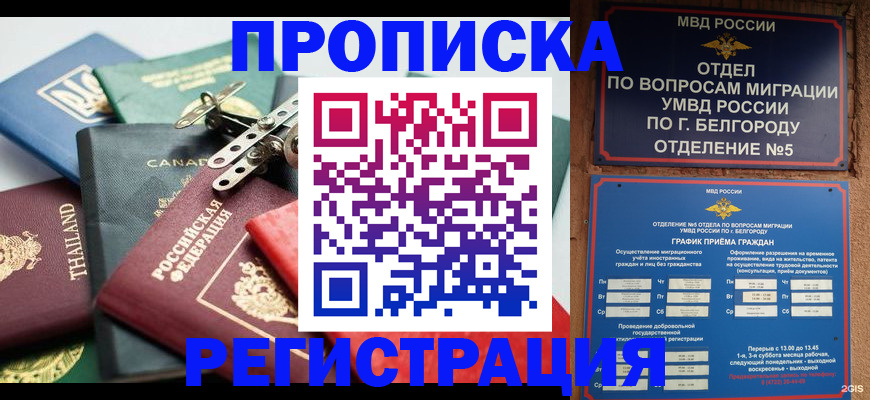 временная регистрация недорого в Воронеже